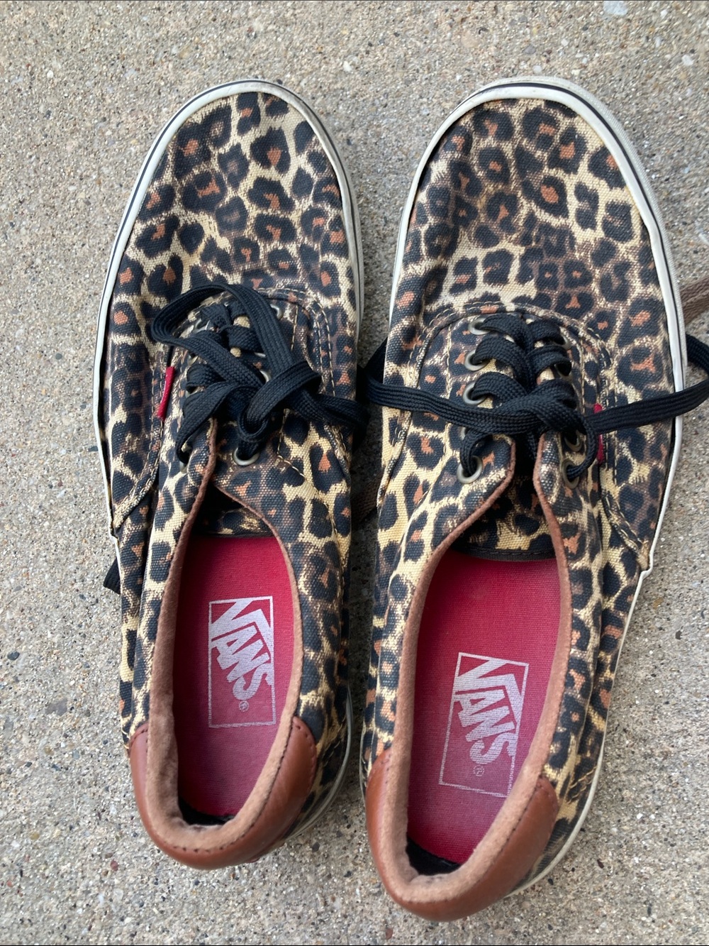 Vans Leopard-Print Low-Top Sneakers in Black, Brown, Cream